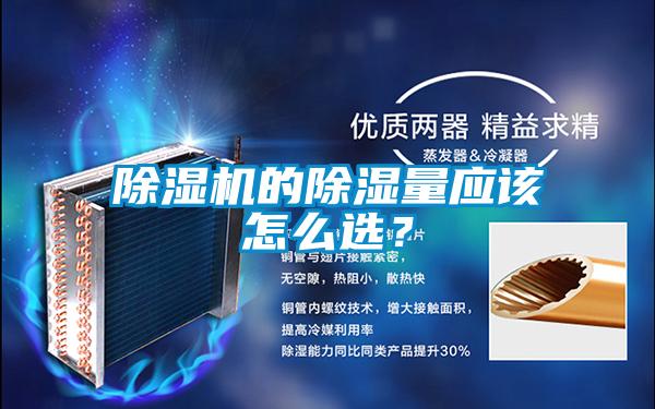 茄子视频懂你更多在线观看的除湿量应该怎么选？