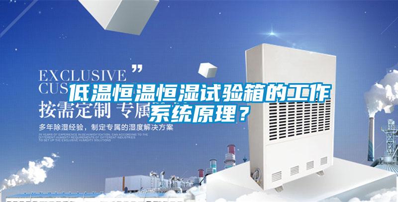 低温恒温恒湿试验箱的工作系统原理？