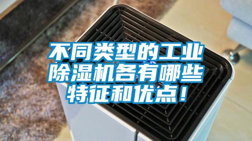 不同类型的工业茄子视频懂你更多在线观看各有哪些特征和优点！