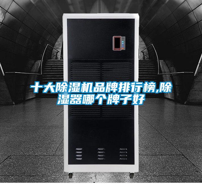 十大茄子视频懂你更多在线观看品牌排行榜,除湿器哪个牌子好