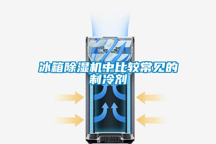 冰箱茄子视频懂你更多在线观看中比较常见的制冷剂