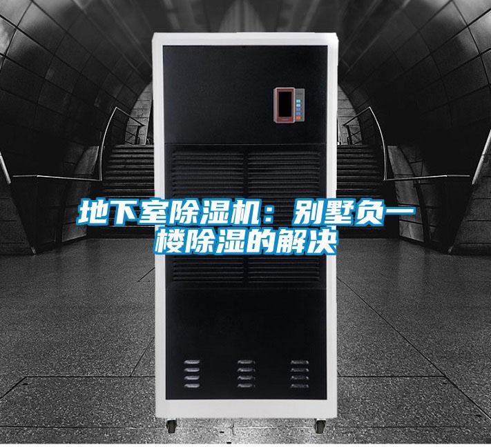 地下室茄子视频懂你更多在线观看：别墅负一楼除湿的解决