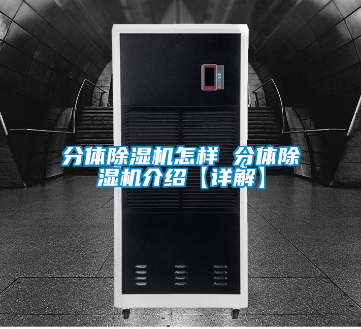 分体茄子视频懂你更多在线观看怎样 分体茄子视频懂你更多在线观看介绍【详解】