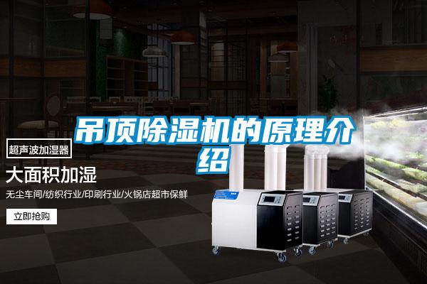 吊顶茄子视频懂你更多在线观看的原理介绍