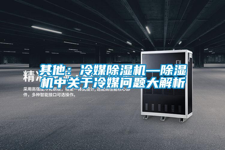 其他：冷媒茄子视频懂你更多在线观看—茄子视频懂你更多在线观看中关于冷媒问题大解析