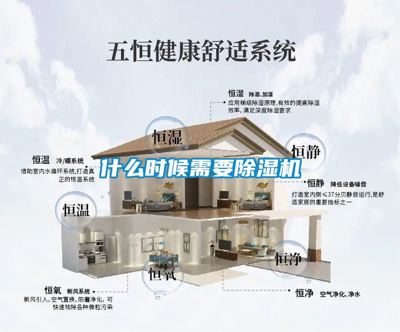 什么时候需要茄子视频懂你更多在线观看