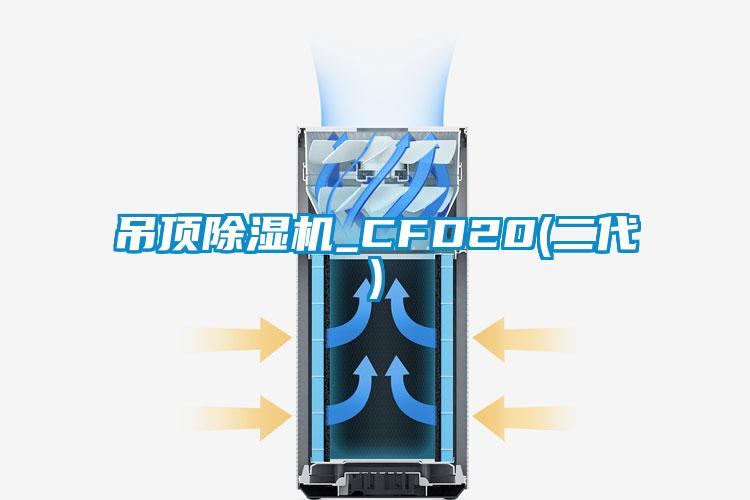 吊顶茄子视频懂你更多在线观看_CFD20(二代)