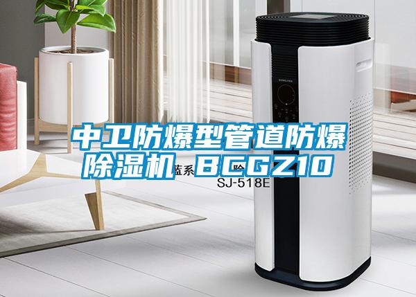 中卫防爆型管道防爆茄子视频懂你更多在线观看 BCGZ10