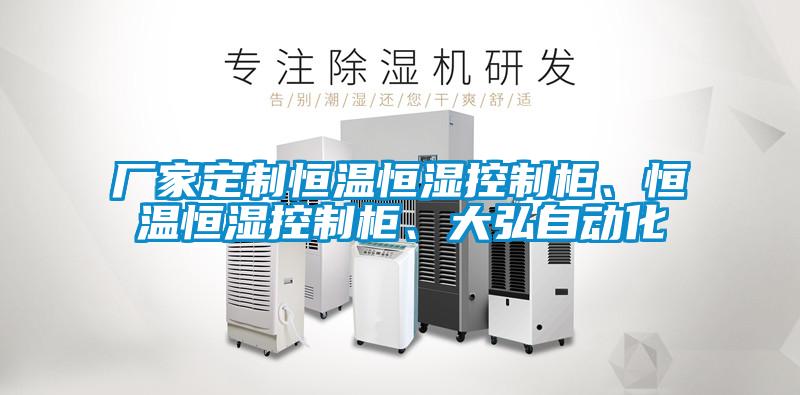 厂家定制恒温恒湿控制柜、恒温恒湿控制柜、大弘自动化
