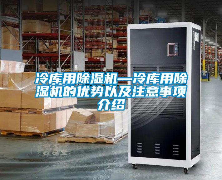 冷库用茄子视频懂你更多在线观看—冷库用茄子视频懂你更多在线观看的优势以及注意事项介绍