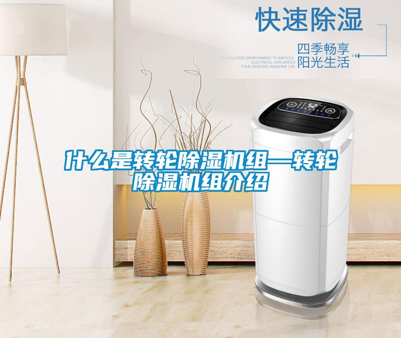 什么是转轮茄子视频懂你更多在线观看组—转轮茄子视频懂你更多在线观看组介绍