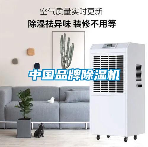 中国品牌茄子视频懂你更多在线观看