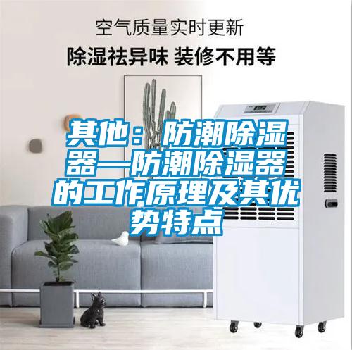 其他：防潮除湿器—防潮除湿器的工作原理及其优势特点