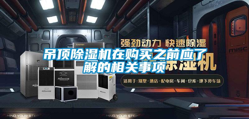 吊顶茄子视频懂你更多在线观看在购买之前应了解的相关事项