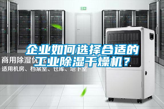 企业如何选择合适的工业除湿干燥机？