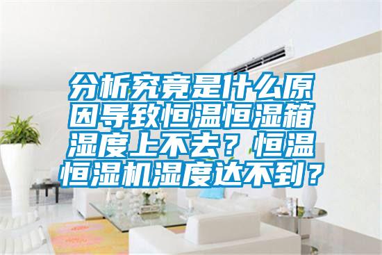 分析究竟是什么原因导致恒温恒湿箱湿度上不去？恒温恒湿机湿度达不到？