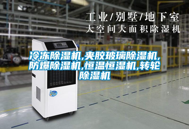 冷冻茄子视频懂你更多在线观看,夹胶玻璃茄子视频懂你更多在线观看,防爆茄子视频懂你更多在线观看,恒温恒湿机,转轮茄子视频懂你更多在线观看