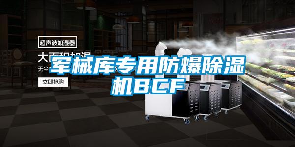 军械库专用防爆茄子视频懂你更多在线观看BCF