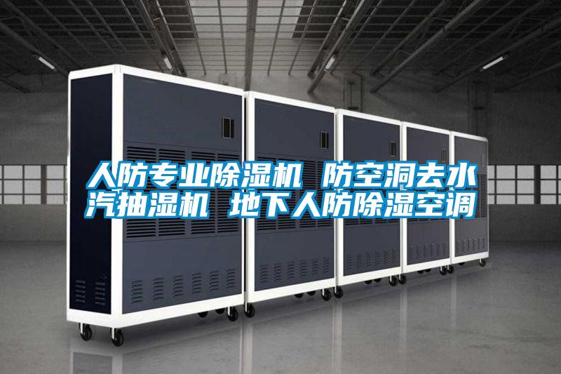 人防专业茄子视频懂你更多在线观看 防空洞去水汽抽湿机 地下人防除湿空调