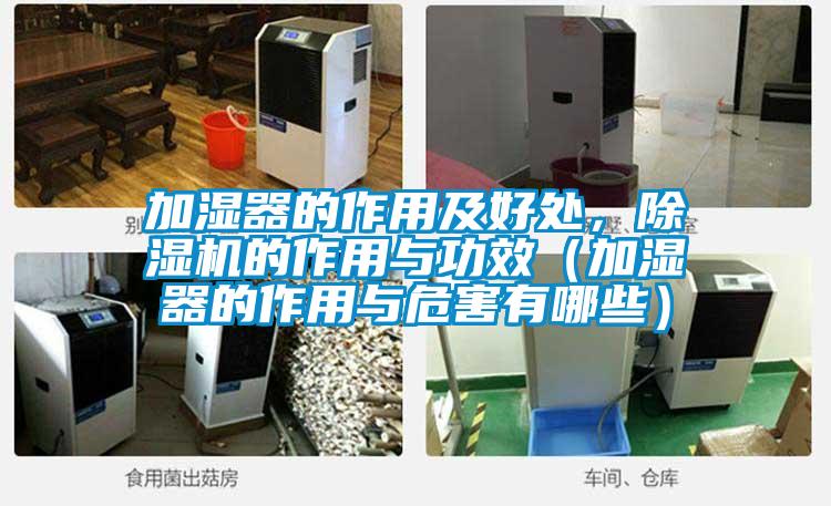 加湿器的作用及好处，茄子视频懂你更多在线观看的作用与功效（加湿器的作用与危害有哪些）