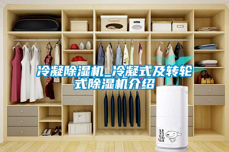 冷凝茄子视频懂你更多在线观看_冷凝式及转轮式茄子视频懂你更多在线观看介绍