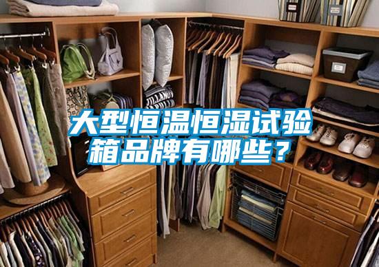 大型恒温恒湿试验箱品牌有哪些？