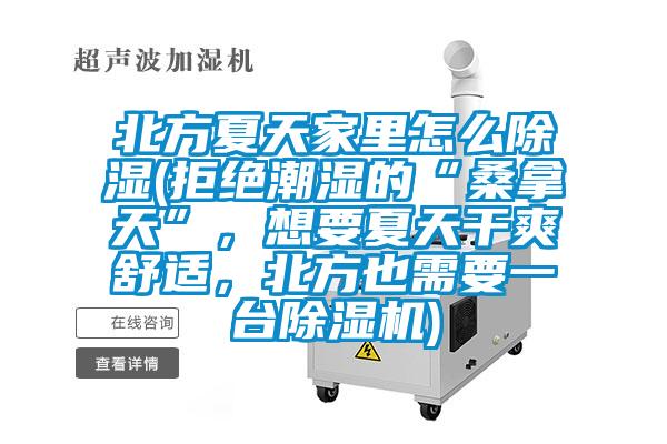 北方夏天家里怎么除湿(拒绝潮湿的“桑拿天”，想要夏天干爽舒适，北方也需要一台茄子视频懂你更多在线观看)