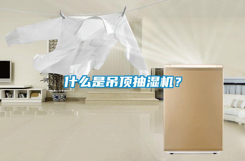 什么是吊顶抽湿机？
