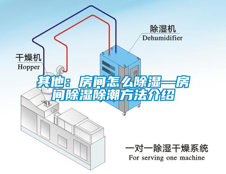 其他：房间怎么除湿—房间除湿除潮方法介绍