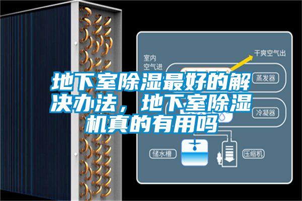 地下室除湿最好的解决办法，地下室茄子视频懂你更多在线观看真的有用吗