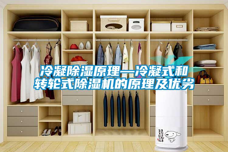 冷凝除湿原理—冷凝式和转轮式茄子视频懂你更多在线观看的原理及优劣