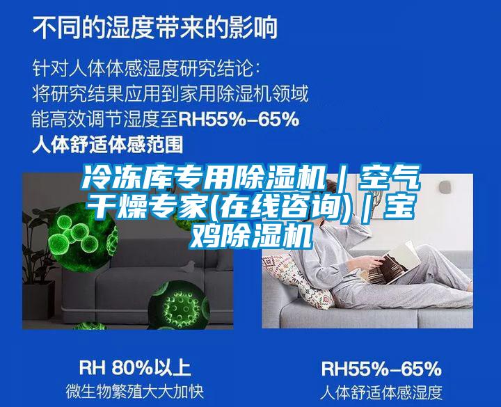 冷冻库专用茄子视频懂你更多在线观看｜空气干燥专家(在线咨询)｜宝鸡茄子视频懂你更多在线观看