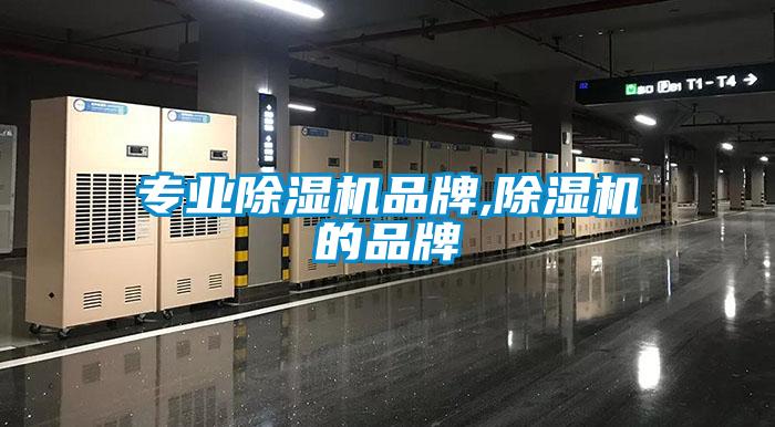 专业茄子视频懂你更多在线观看品牌,茄子视频懂你更多在线观看的品牌