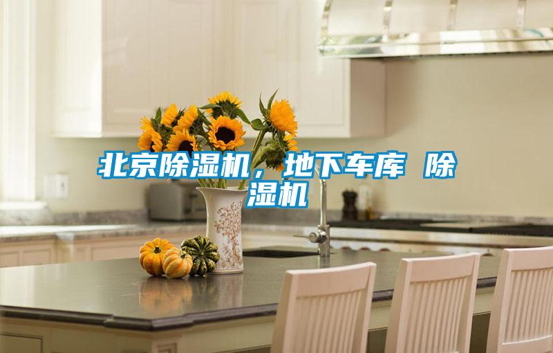 北京茄子视频懂你更多在线观看，地下车库 茄子视频懂你更多在线观看