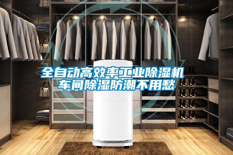 全自动高效率工业茄子视频懂你更多在线观看 车间除湿防潮不用愁