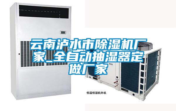 云南泸水市茄子视频懂你更多在线观看厂家_全自动抽湿器定做厂家