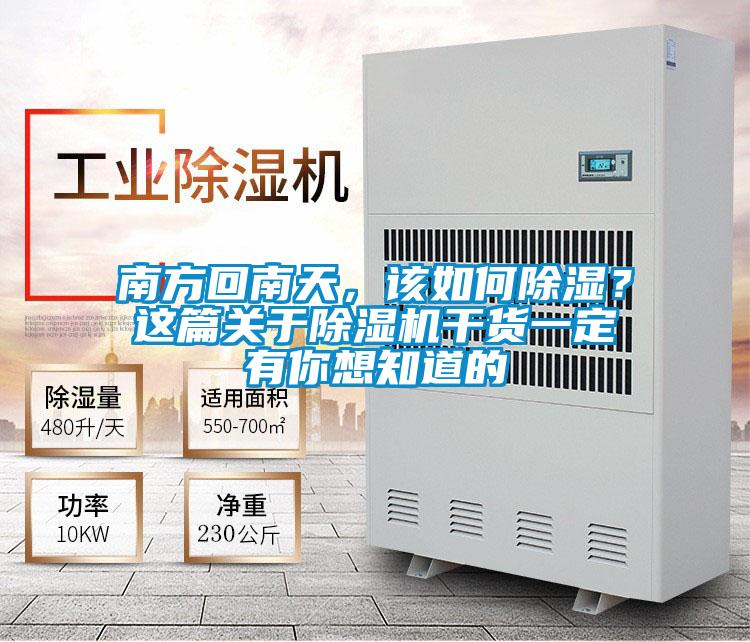 南方回南天，该如何除湿？这篇关于茄子视频懂你更多在线观看干货一定有你想知道的