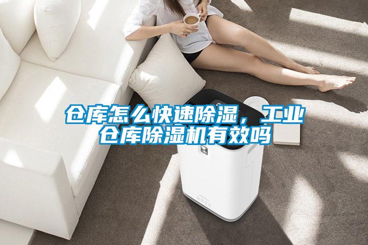 仓库怎么快速除湿，工业仓库茄子视频懂你更多在线观看有效吗