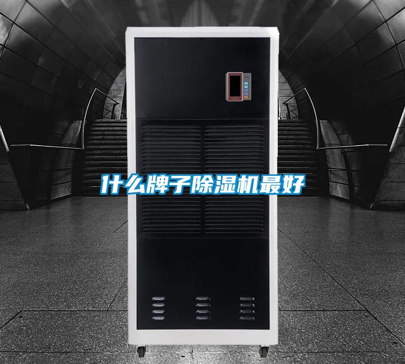 什么牌子茄子视频懂你更多在线观看最好