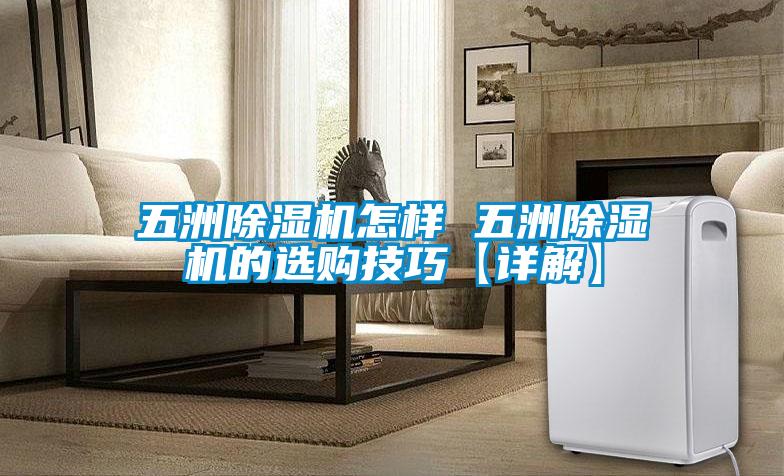 五洲茄子视频懂你更多在线观看怎样 五洲茄子视频懂你更多在线观看的选购技巧【详解】