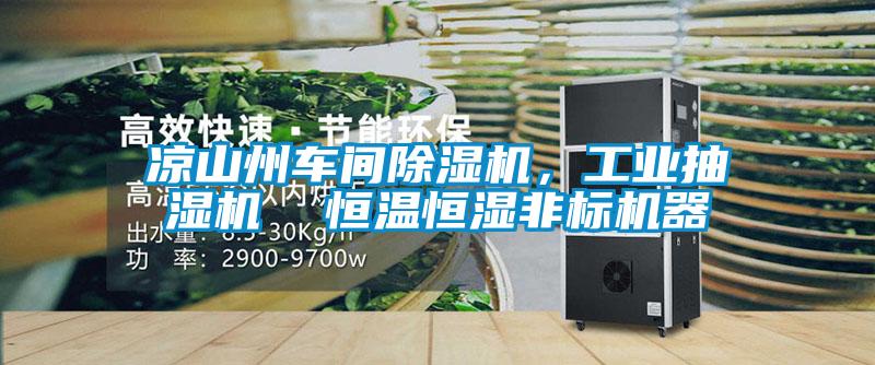 凉山州车间茄子视频懂你更多在线观看，工业抽湿机  恒温恒湿非标机器