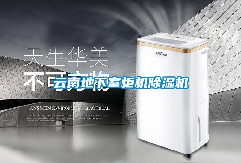 云南地下室柜机茄子视频懂你更多在线观看