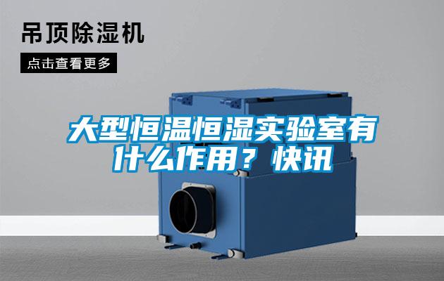 大型恒温恒湿实验室有什么作用？快讯