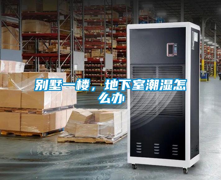 别墅一楼，地下室潮湿怎么办
