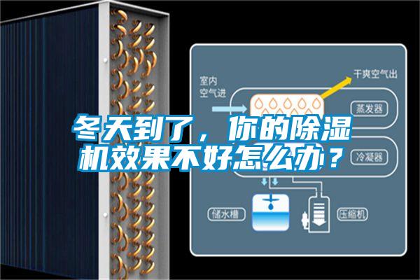 冬天到了，你的茄子视频懂你更多在线观看效果不好怎么办？