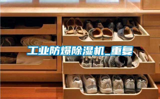 工业防爆茄子视频懂你更多在线观看_重复