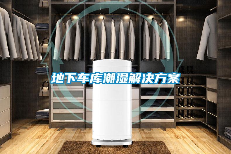 地下车库潮湿茄子黄色电影