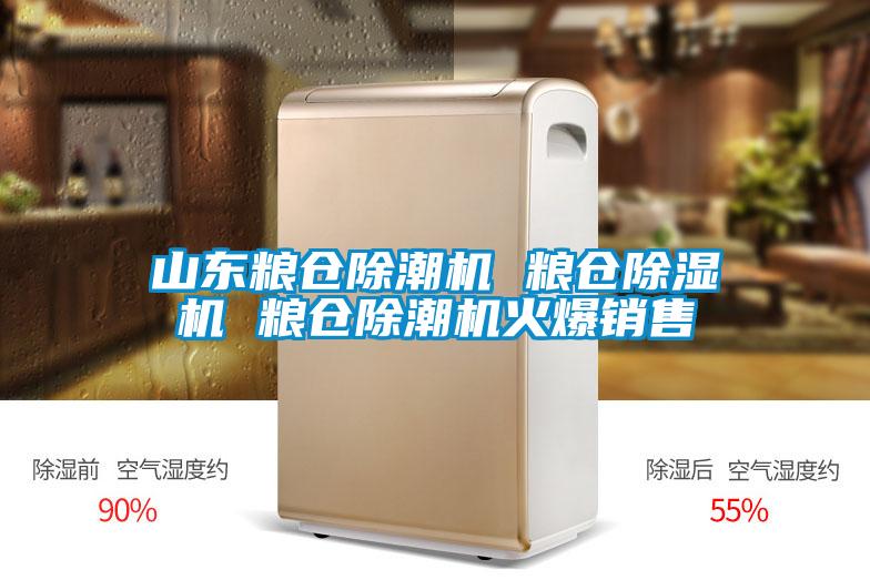 山东粮仓除潮机 粮仓茄子视频懂你更多在线观看 粮仓除潮机火爆销售