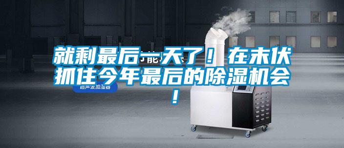 就剩最后一天了！在末伏抓住今年最后的茄子视频懂你更多在线观看会！