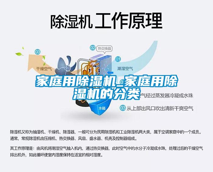 家庭用茄子视频懂你更多在线观看_家庭用茄子视频懂你更多在线观看的分类